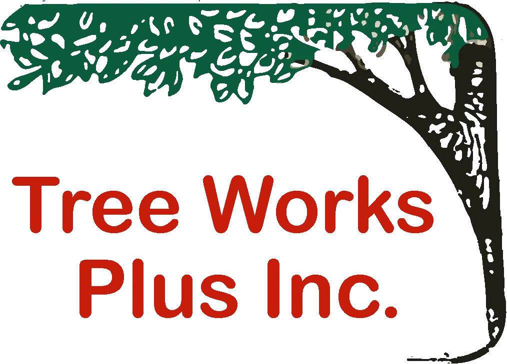 Tree Works Plus Inc